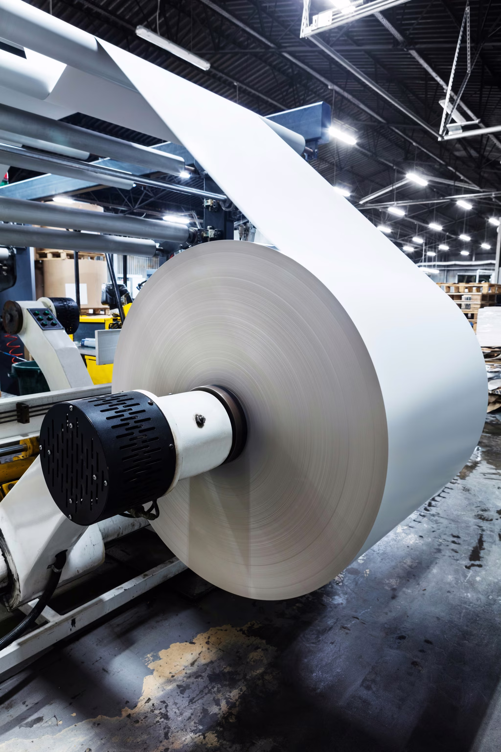 Pulp and Paper Sector.